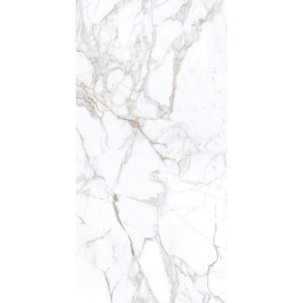 Picture of Tesoro - Lucca 12 x 24 Calacatta Matte