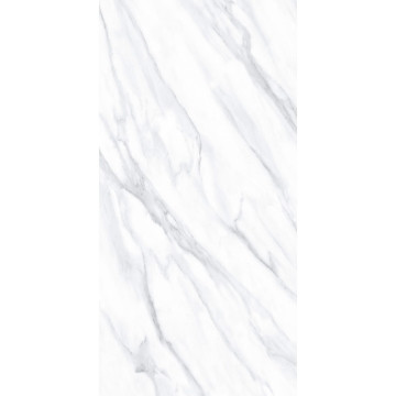 Picture of Tesoro - Lucca 12 x 24 Volakis Matte