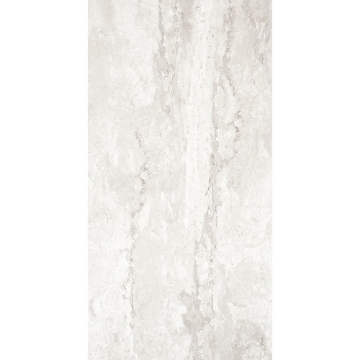 Picture of Tesoro - Tivolazio 12 x 24 Silver Polished