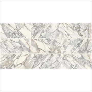 Picture of Daltile - Eclessia 12 x 24 Arabescato Argento Polished