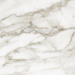 Picture of Tesoro - La Marca 24 x 24 Polished Calacatta Paonazzo