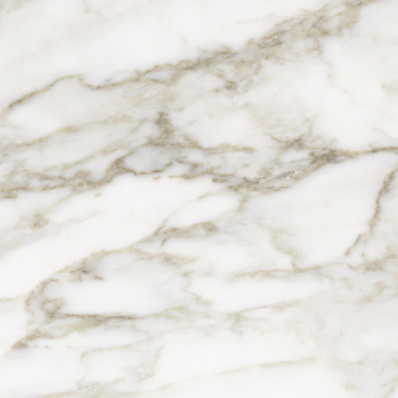 Picture of Tesoro - La Marca 24 x 24 Polished Calacatta Paonazzo