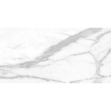 Picture of Tesoro - La Marca 12 x 24 Polished Statuario Nuovo