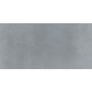 Picture of Daltile - Cohesion 24 x 48 Grey Polished