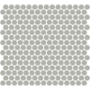Picture of Daltile - Color Wheel Mosaic Penny Round Matte Desert Gray