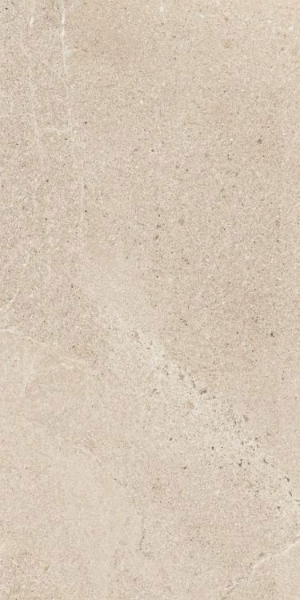 Picture of Elysium - Tune 12 x 24 Desert