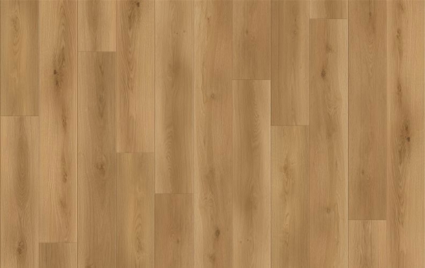 Picture of Lions Floor - Canyon Coast Altitude Trail