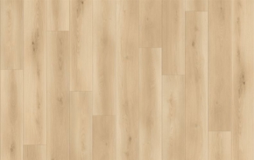 Picture of Lions Floor - Canyon Coast Wilderness Whispers