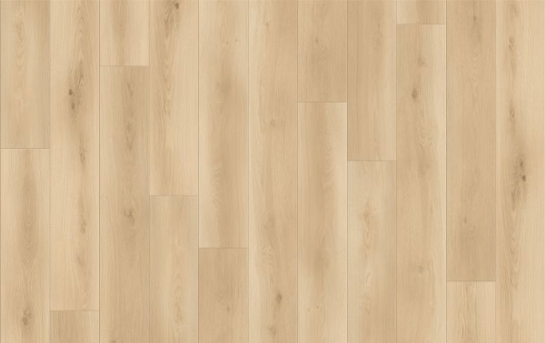 Picture of Lions Floor - Canyon Coast Wilderness Whispers