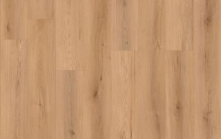 Picture of Lions Floor - Canyon Coast Sunset Vista