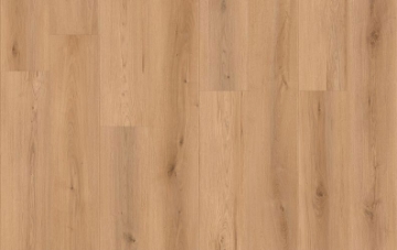 Picture of Lions Floor - Canyon Coast Sunset Vista