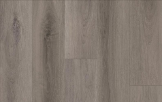 Picture of Lions Floor - Comfort Heights Sunset Terrace