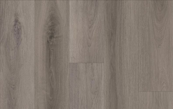 Picture of Lions Floor - Comfort Heights Sunset Terrace