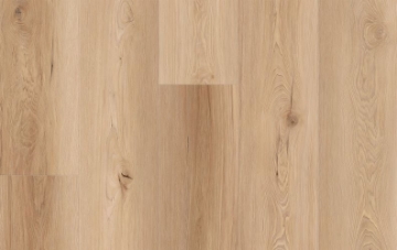 Picture of Lions Floor - Comfort Heights Camden Ridge