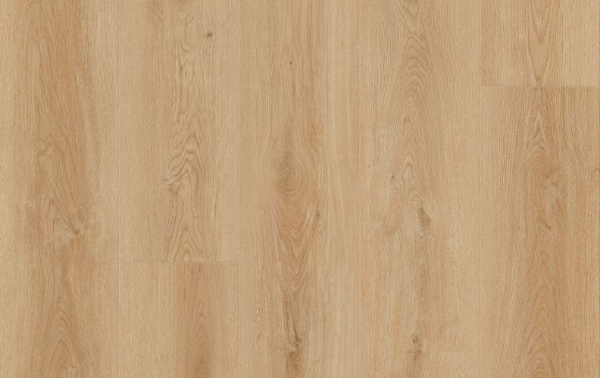 Picture of Lions Floor - Comfort Heights Village Park