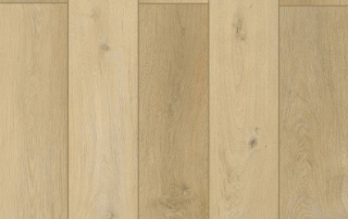 Picture of Lions Floor - Lone Star Spirit Sunnyside Up