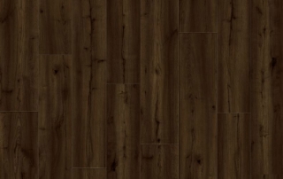 Picture of Lions Floor - Trenta Hibiki