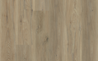 Picture of Lions Floor - Natural Essence Plus Palisade