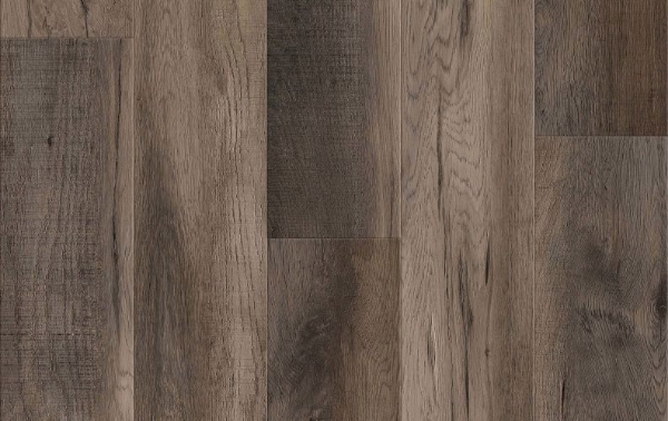 Picture of Lions Floor - District Pro Roseville