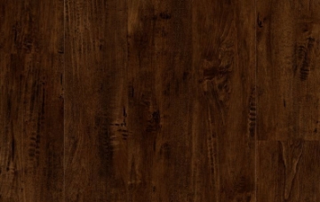 Picture of Lions Floor - District Pro Capitol Hill