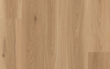 Picture of Lions Floor - District Pro Westgate