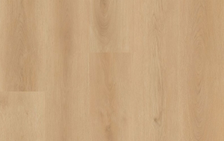 Picture of Lions Floor - District Pro Marquee