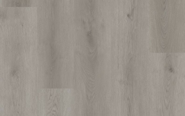 Picture of Lions Floor - District Pro West Chelsea