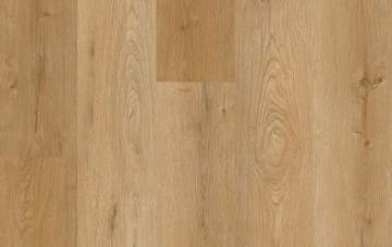 Picture of Lions Floor - District Max Belvedere