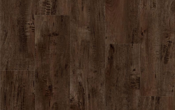 Picture of Lions Floor - District Max Winnetka