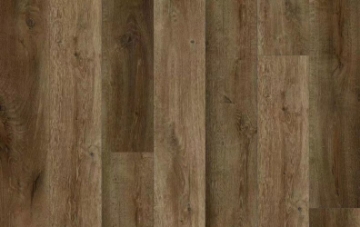 Picture of Lions Floor - District Max Brookline