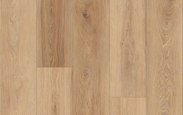 Picture of Lions Floor - District Max Overland Park