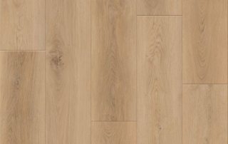 Picture of Lions Floor - District Max Atherton