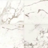 Picture of Daltile - Marble Attache 24 x 24 Matte Calacatta