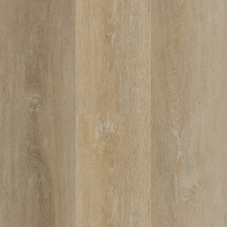 Picture of Matrexx - Miracle Sandy Shore