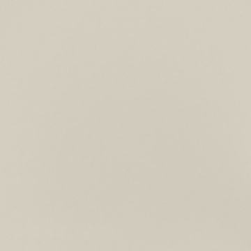 Picture of Daltile - Median 24 x 24 Textured Beige