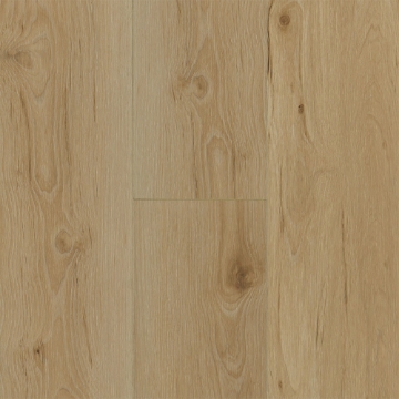 Picture of Robbins - Ingenious Plank Buff Tradition