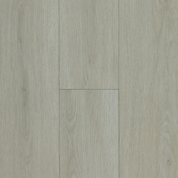 Picture of Robbins - Ingenious Plank Spring Mist