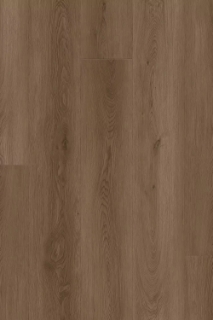 Picture of Happy Feet Intl. - Dynamic Fit Santa Monica