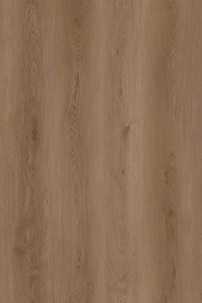 Picture of Happy Feet Intl. - Dynamic Fit Gold Coast