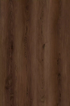 Picture of Happy Feet Intl. - Dynamic Fit Big Sur