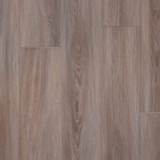 Picture of Happy Feet Intl. - Pinnacle Westminster