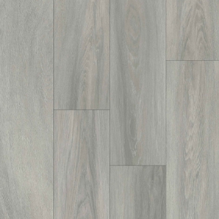 Picture of Happy Feet Intl. - Pinnacle Cambridge