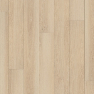 Picture of Happy Feet Intl. - Regency Sandy Bay