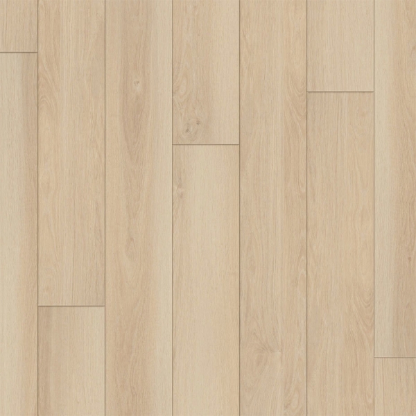 Picture of Happy Feet Intl. - Regency Sandy Bay