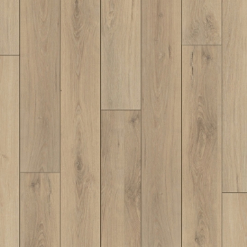 Picture of Happy Feet Intl. - Regency Windsor