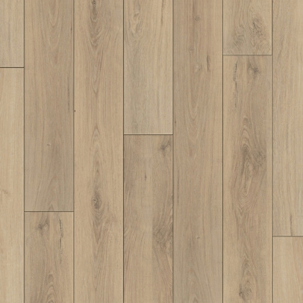 Picture of Happy Feet Intl. - Regency Windsor