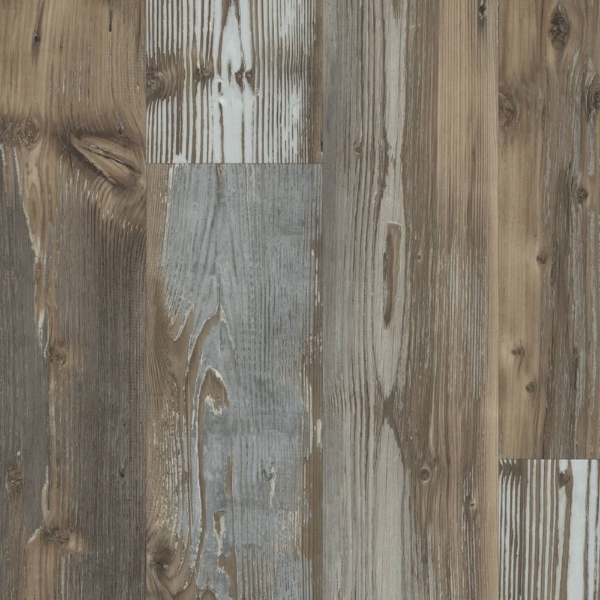 Picture of Happy Feet Intl. - Rescue Banff