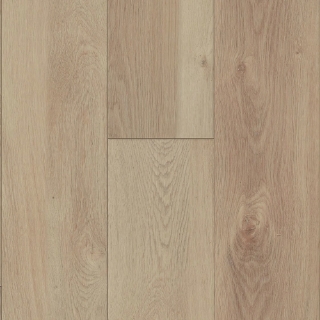 Picture of Happy Feet Intl. - Rescue Denali