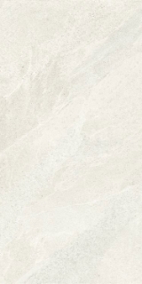 Picture of Elysium - Tune 24 x 48 Snow