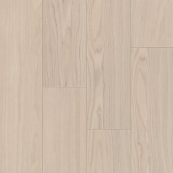 Picture of Trucor - Bravo Adalbero Ash